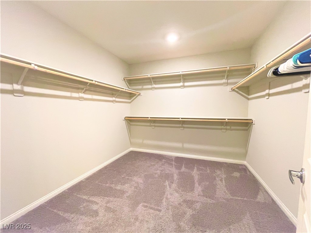 4407 Creekside Cavern Avenue Property Photo 16
