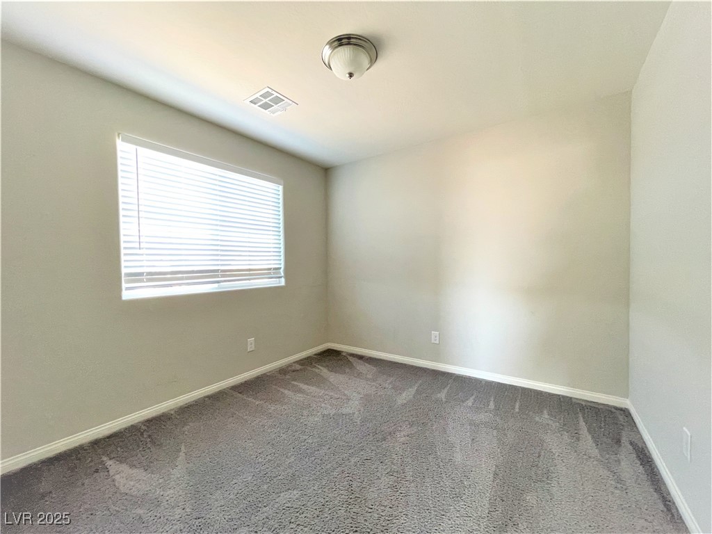 4407 Creekside Cavern Avenue Property Photo 20