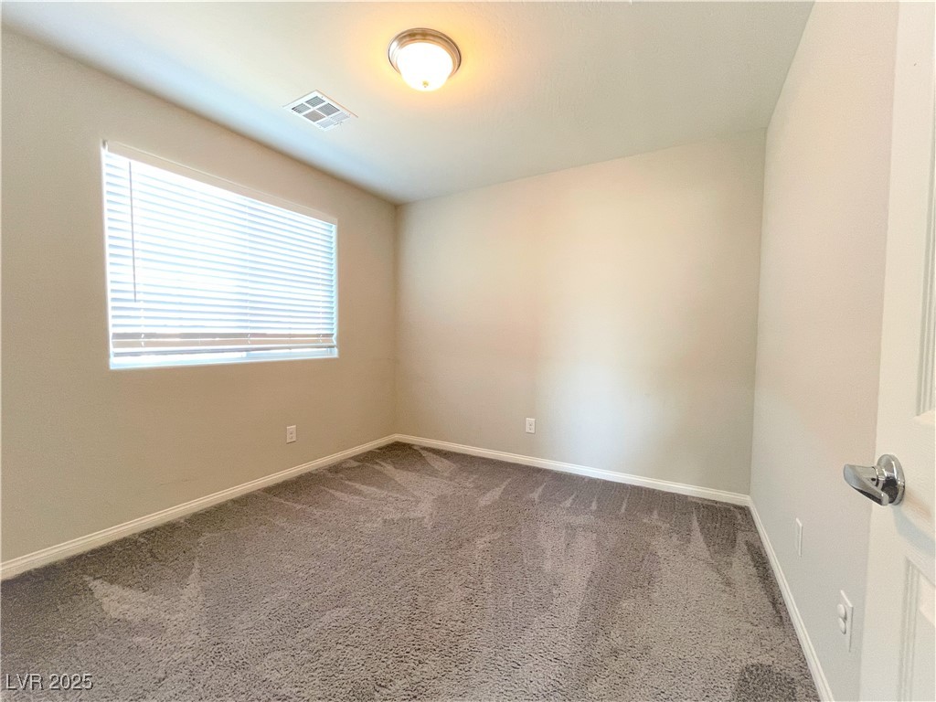 4407 Creekside Cavern Avenue Property Photo 21