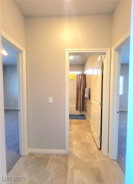 73 Hawk Avenue Property Photo 7