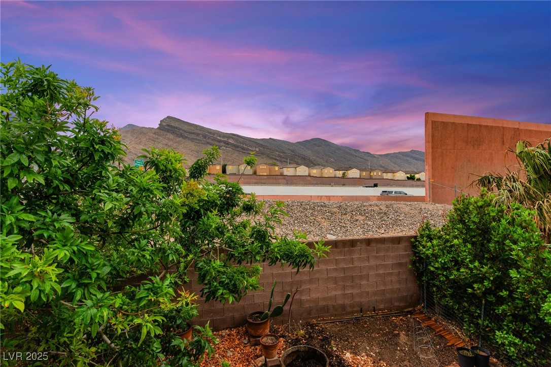 3619 Hat Rock Court Property Photo 6