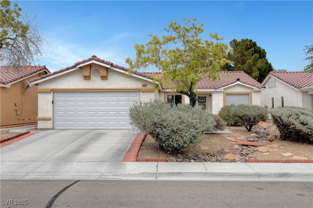 5220 Shasta Daisy Street Property Photo