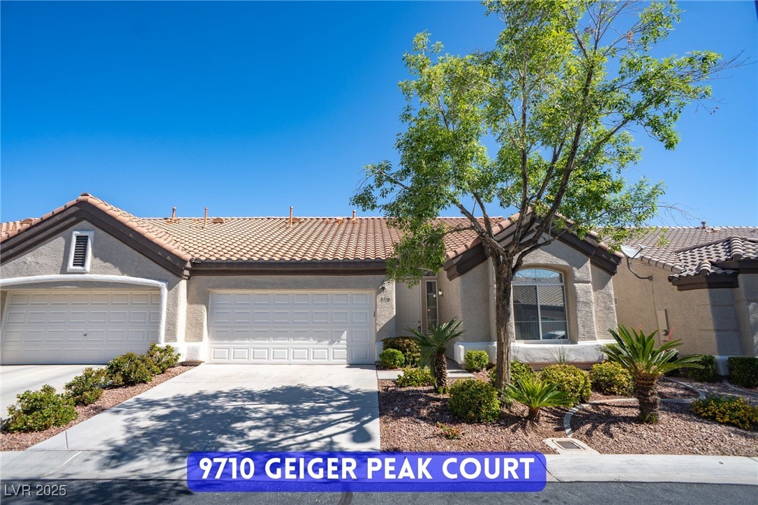 9710 Geiger Peak Court Property Photo