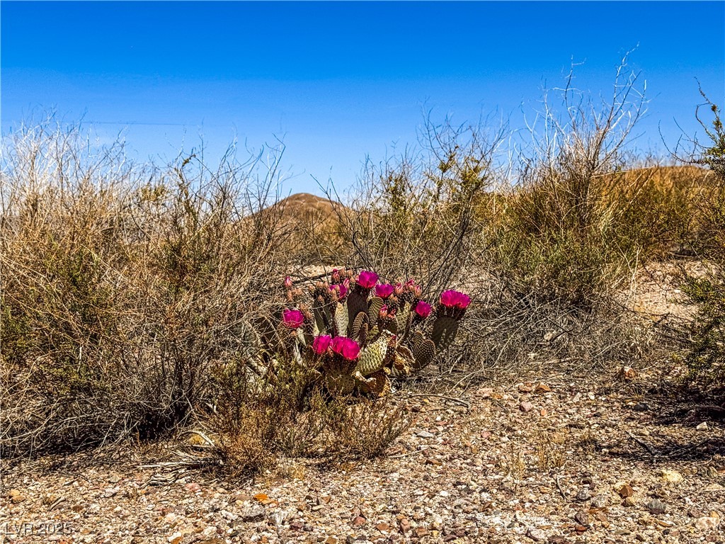120 Old Spanish Trail Highway Property Photo 10