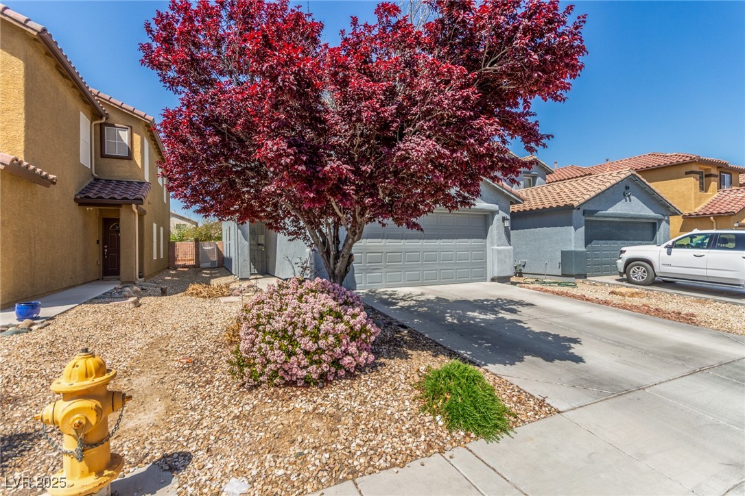 11739 Village Arbor Street Property Photo 6