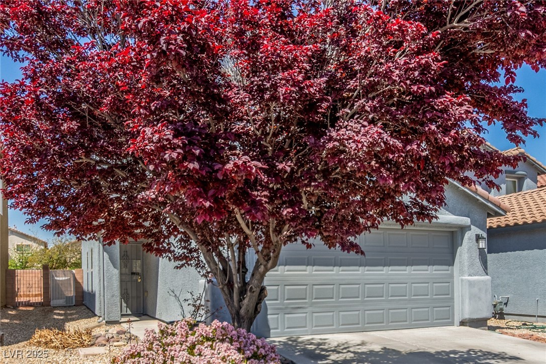 11739 Village Arbor Street Property Photo 7