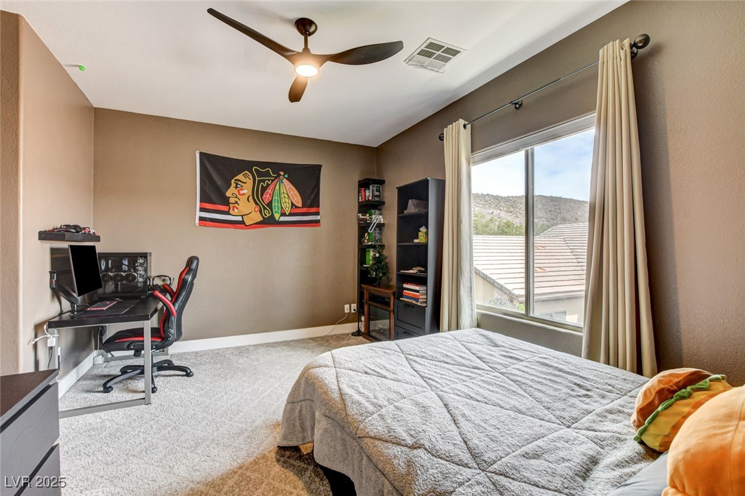 11 Morninglow Pass Property Photo 53