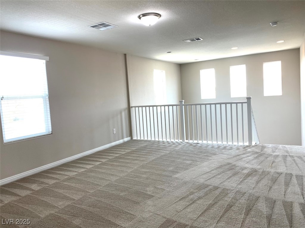 7861 Hamilton Pool Drive Property Photo 27