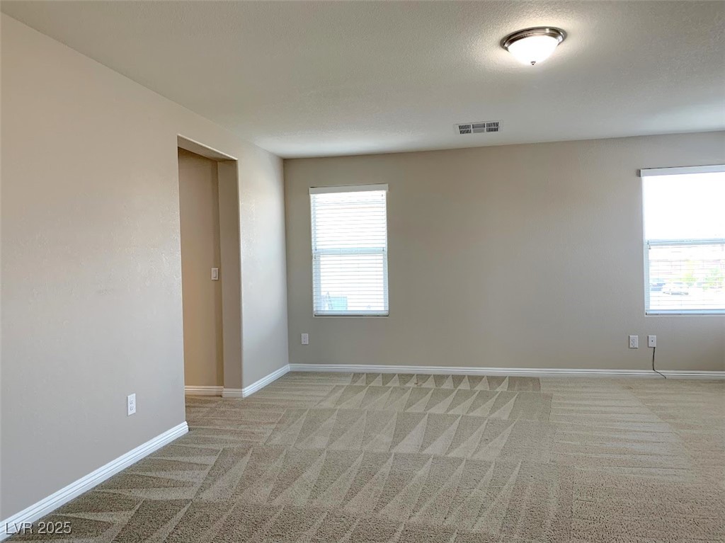 7861 Hamilton Pool Drive Property Photo 30