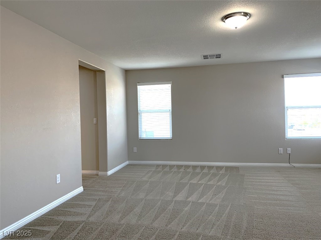 7861 Hamilton Pool Drive Property Photo 31