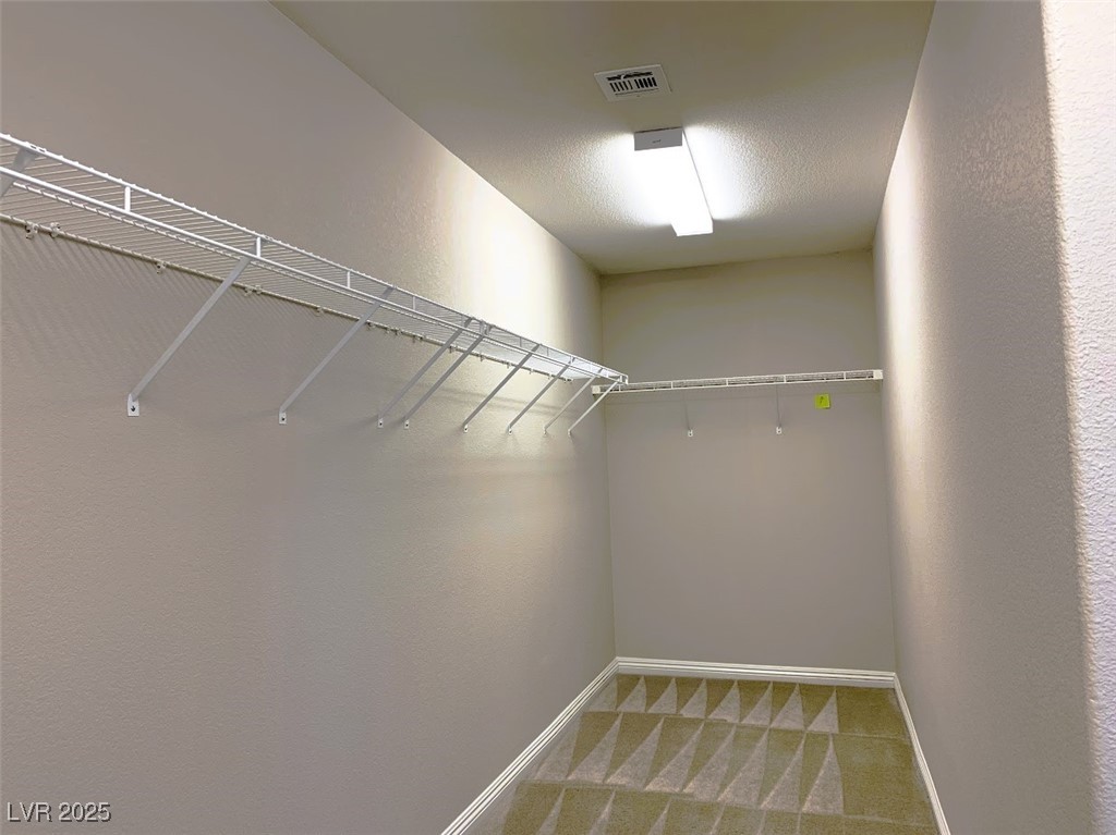 7861 Hamilton Pool Drive Property Photo 41