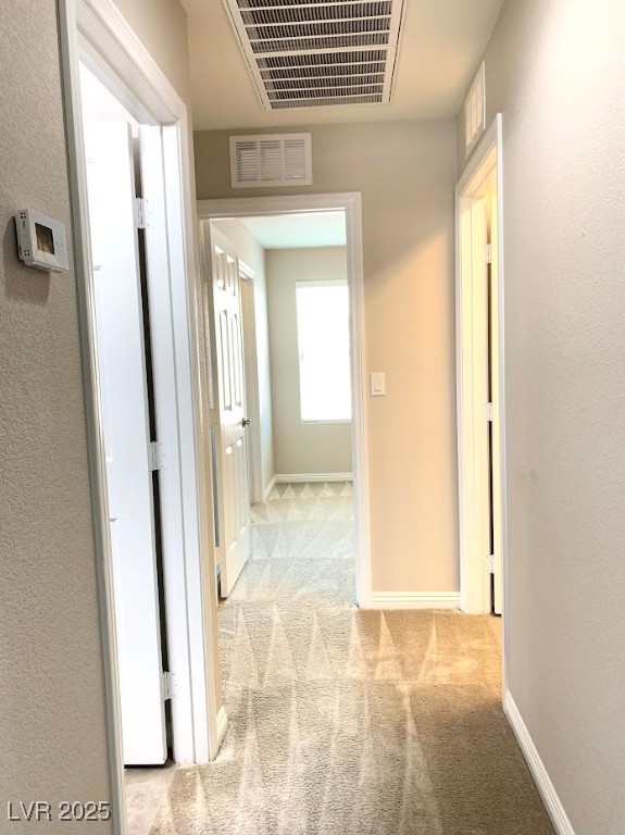 7861 Hamilton Pool Drive Property Photo 43