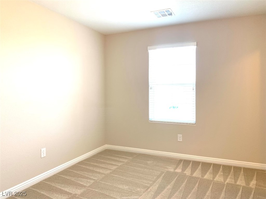 7861 Hamilton Pool Drive Property Photo 44