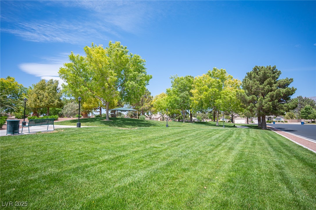 7500 Peaceful Brook Street Property Photo 31