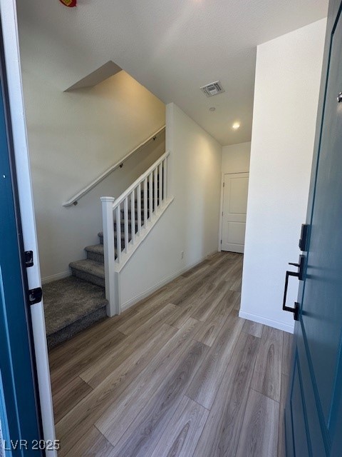 1533 Bat Hawk Street Property Photo 2
