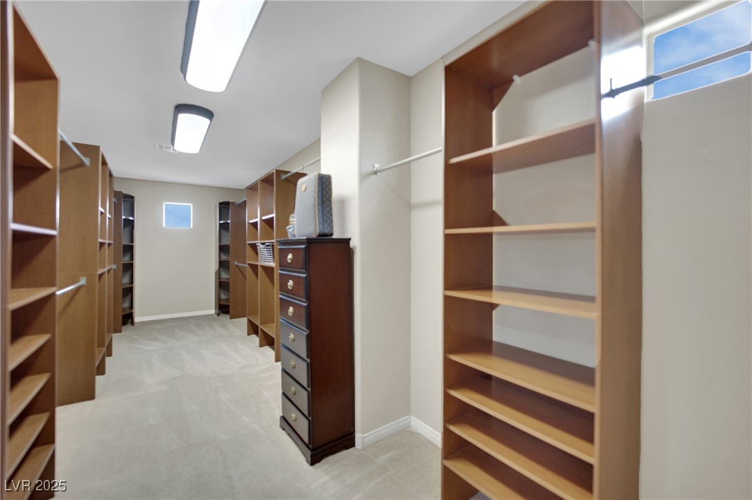9046 Barium Rock Avenue Property Photo 46