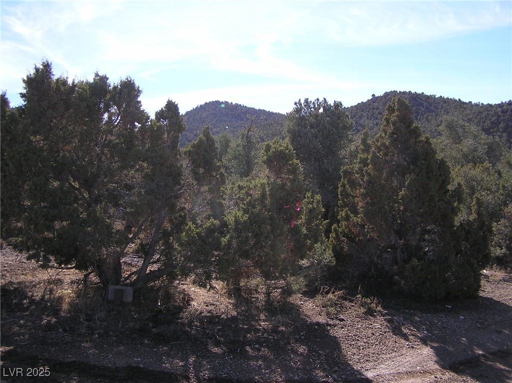 20.52 Ac Blackhorse #1 Pat.327790 Ms 3448 Property Photo