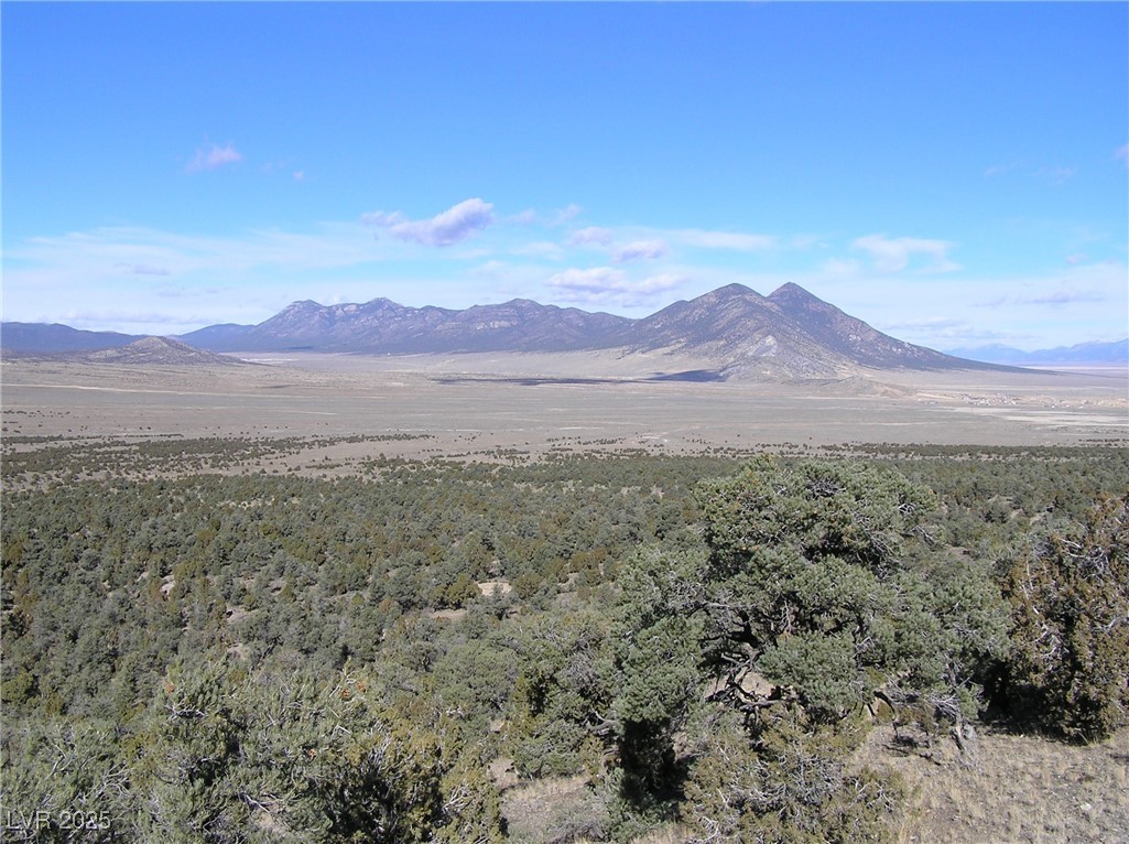 20.52 Ac Blackhorse #1 Pat.327790 Ms 3448 Property Photo 2