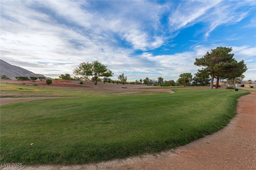 10832 Heritage Hills Drive Property Photo 28