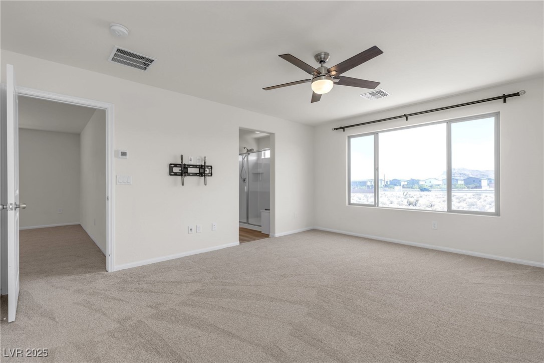 9917 Fletcher Peak Avenue Property Photo 54