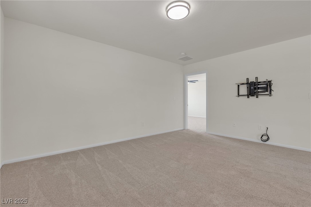 9917 Fletcher Peak Avenue Property Photo 55