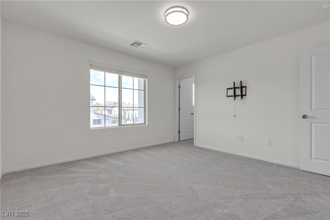 9917 Fletcher Peak Avenue Property Photo 63
