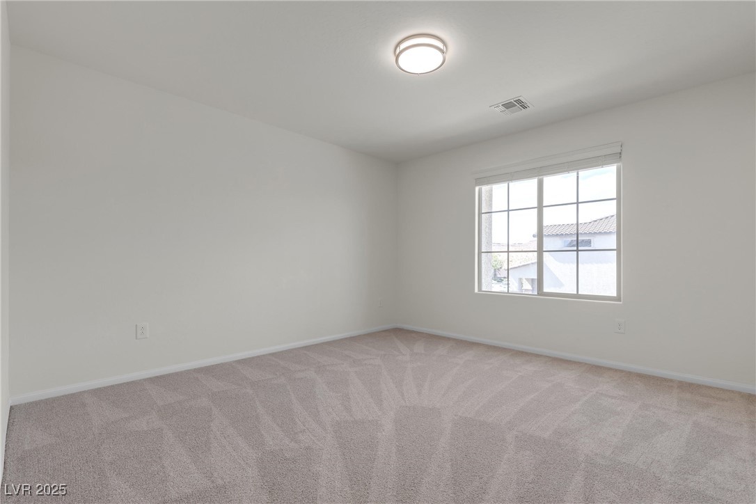 9917 Fletcher Peak Avenue Property Photo 64