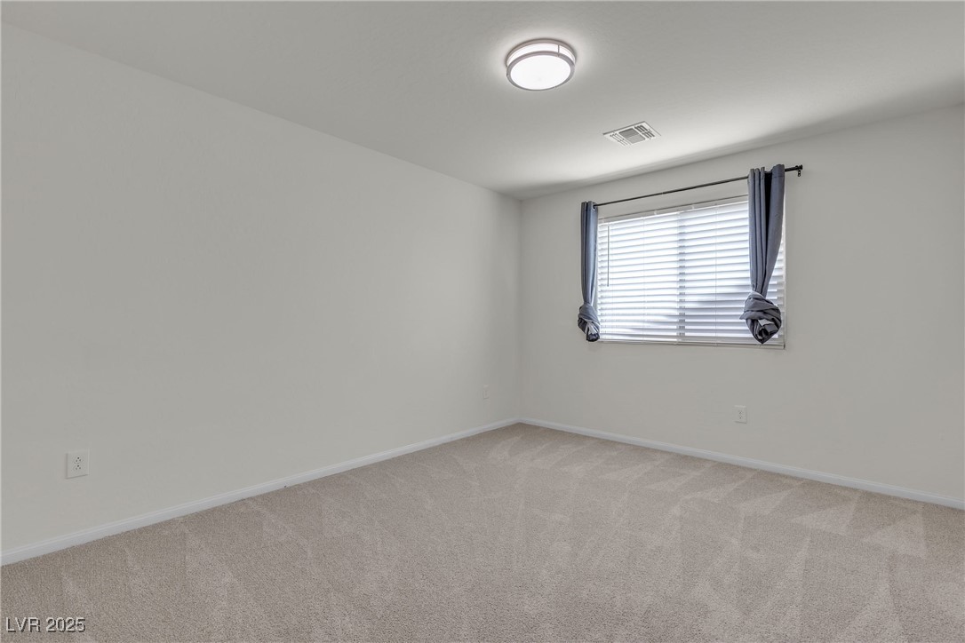 9917 Fletcher Peak Avenue Property Photo 66