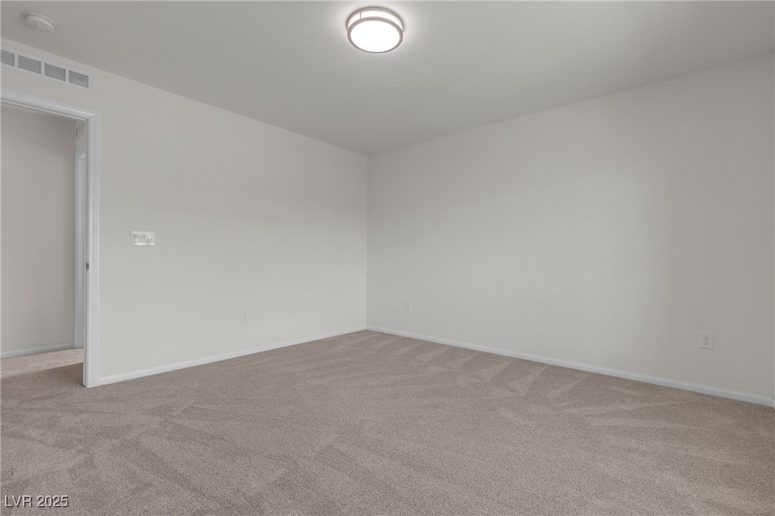 9917 Fletcher Peak Avenue Property Photo 67