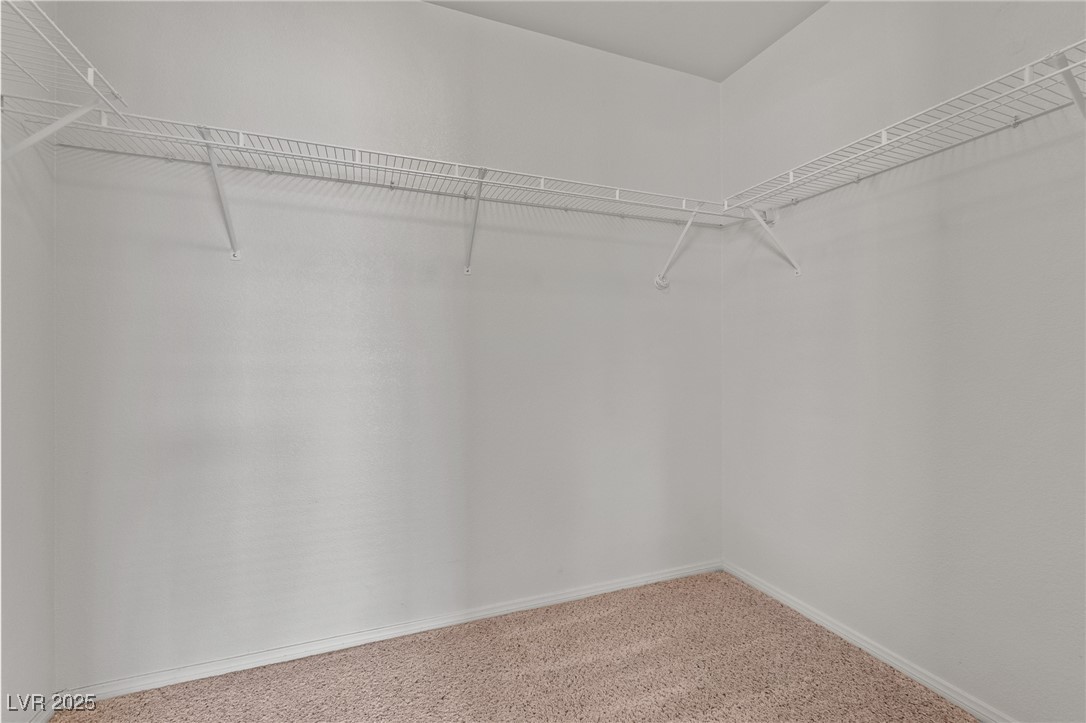 9021 Last Hope Avenue Property Photo 26