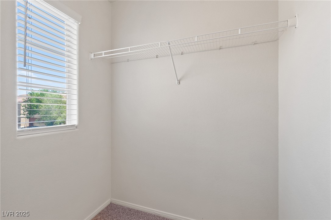 9021 Last Hope Avenue Property Photo 32
