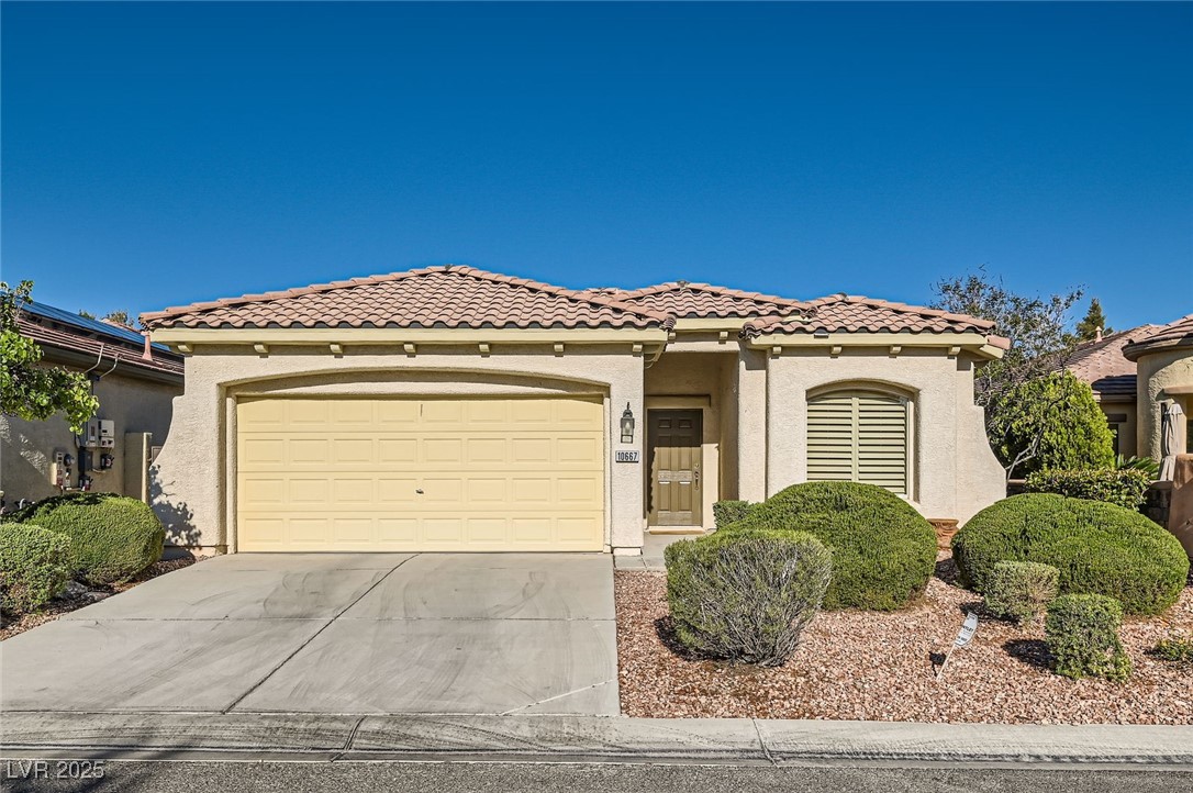 10667 Casa Bianca Street Property Photo 1