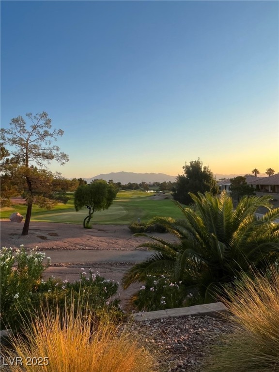 10532 Sea Palms Avenue Property Photo 38