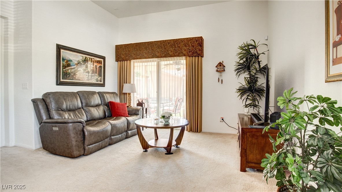 711 Golden Sedum Drive Property Photo 6