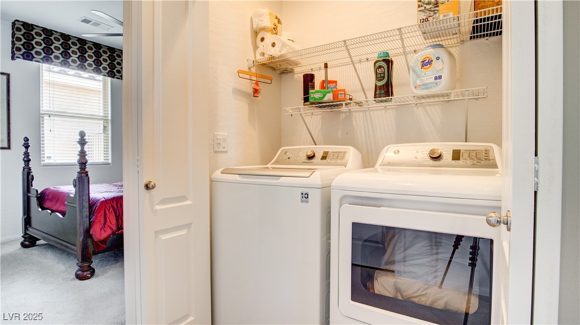 711 Golden Sedum Drive Property Photo 20