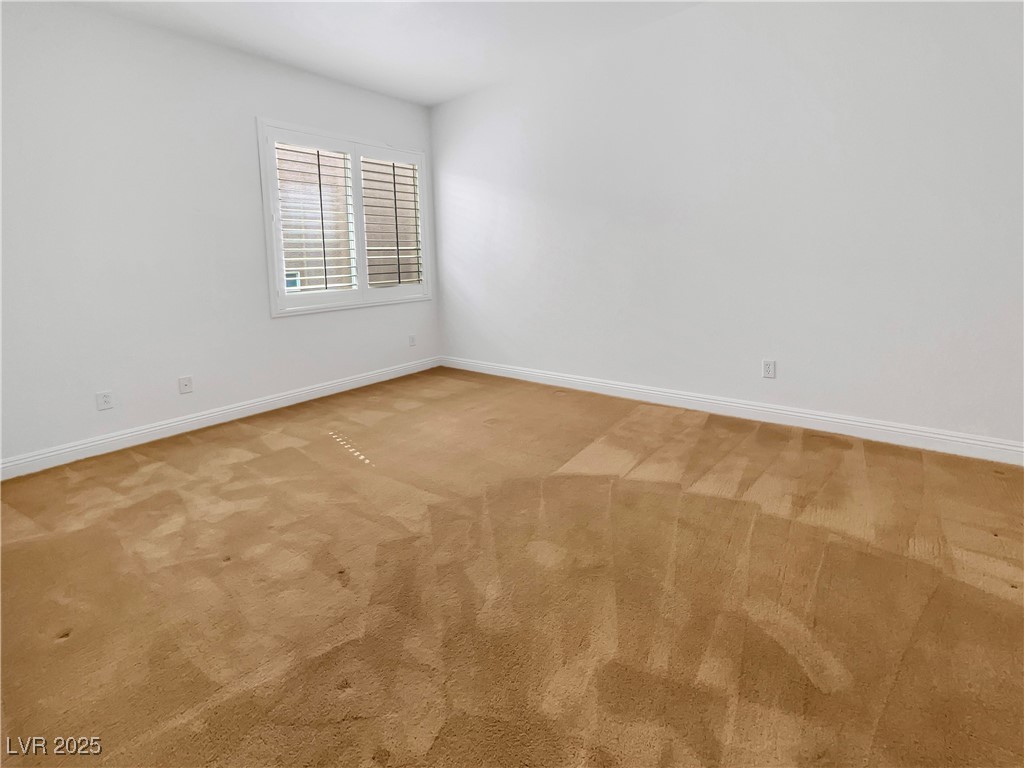 10056 Cranbrook Falls Court Property Photo 5