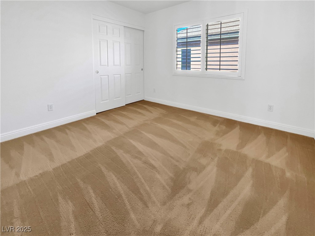 10056 Cranbrook Falls Court Property Photo 20