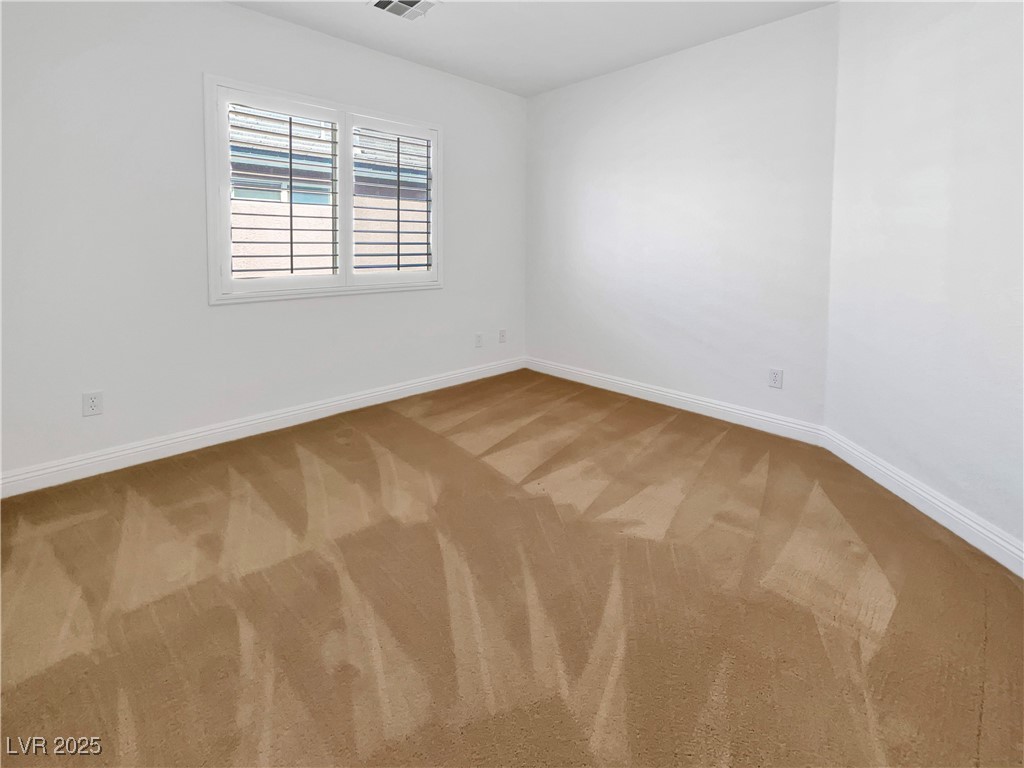 10056 Cranbrook Falls Court Property Photo 21