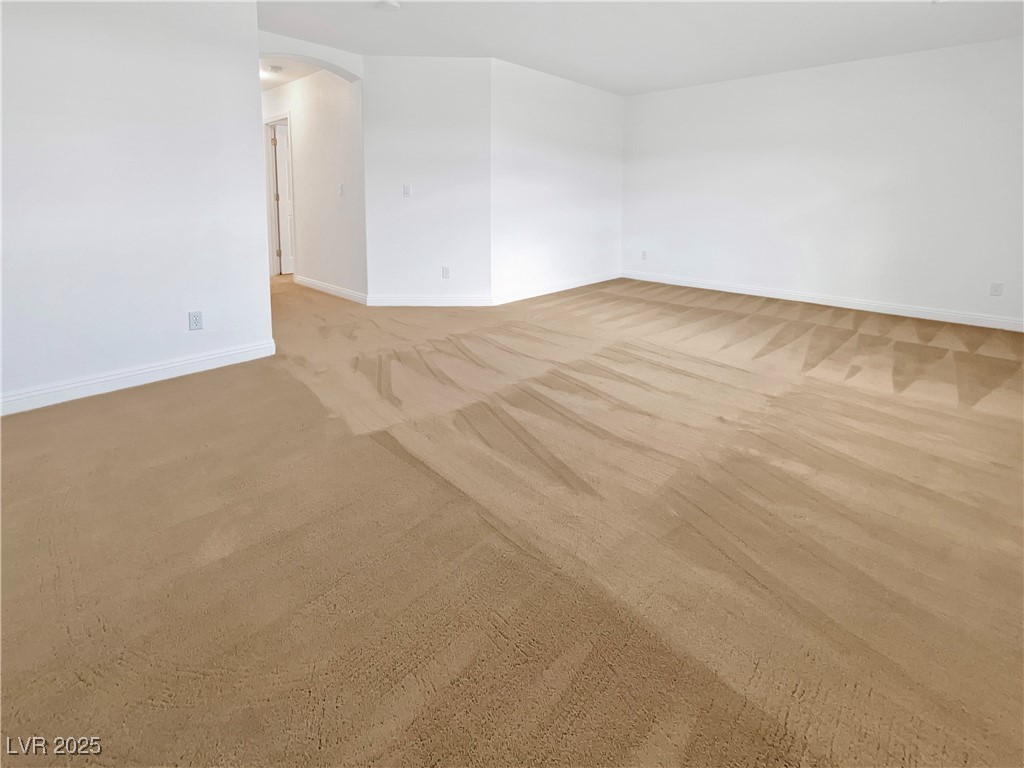 10056 Cranbrook Falls Court Property Photo 22