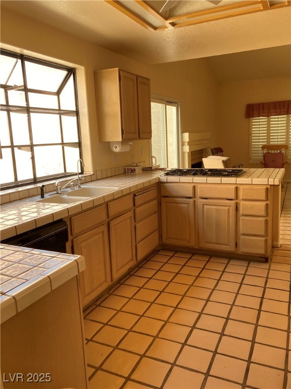 3394 Brookfield Drive Property Photo 43