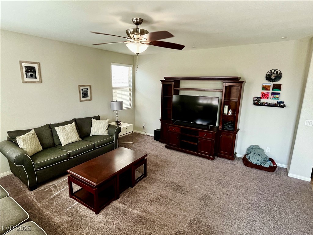 5941 Galway Bay Street Property Photo 4