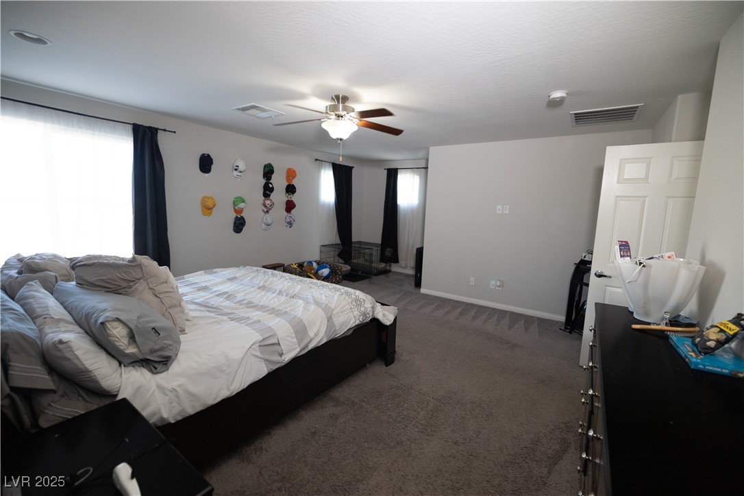 5941 Galway Bay Street Property Photo 27