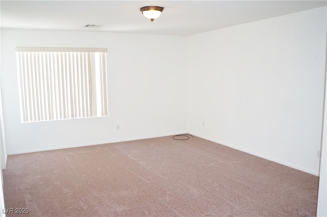 932 Ribbon Grass Avenue Property Photo 14