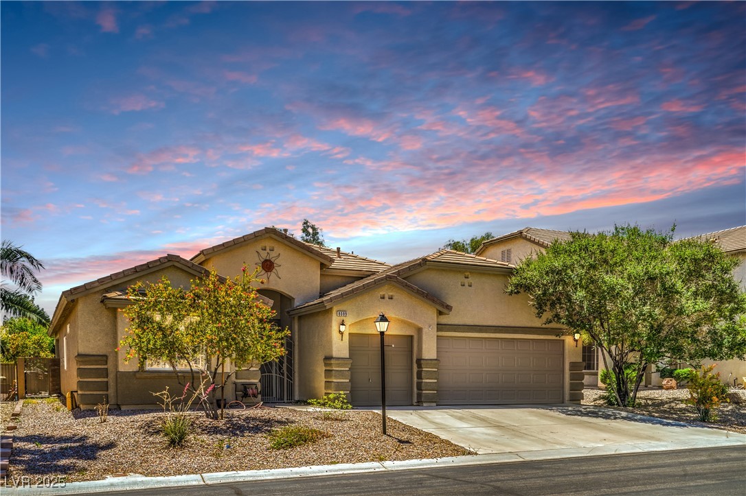 8089 Black Orchid Avenue Property Photo