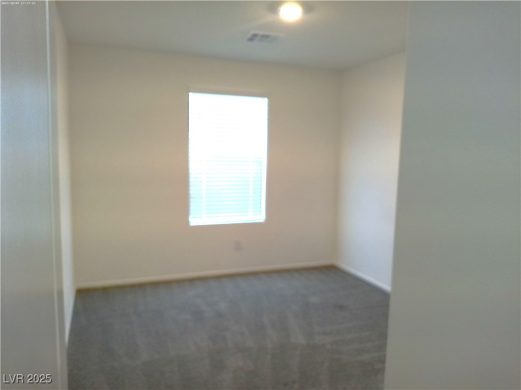 351 Summer Sparrow Avenue Property Photo 16