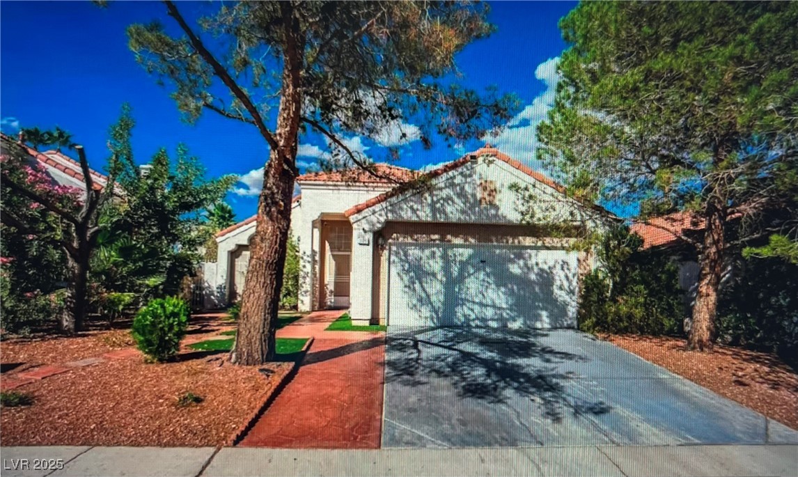 3120 Biscayne Springs Lane Property Photo