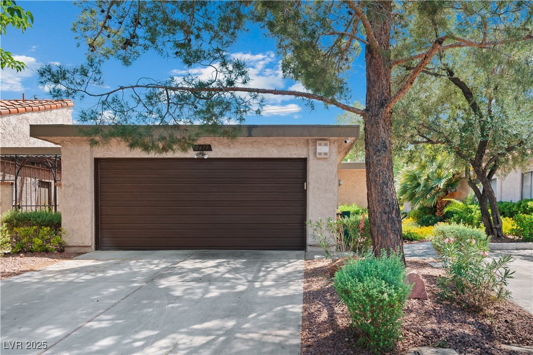 2479 Domingo Street Property Photo 4