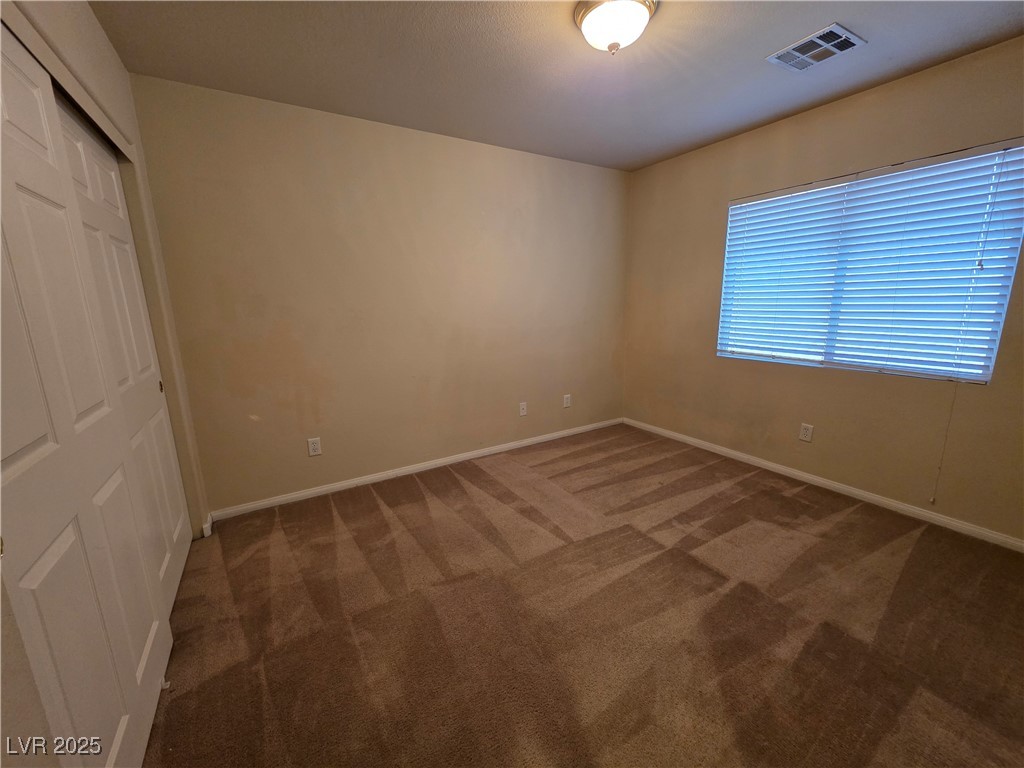 10772 Glacier Rapids Court Property Photo 17