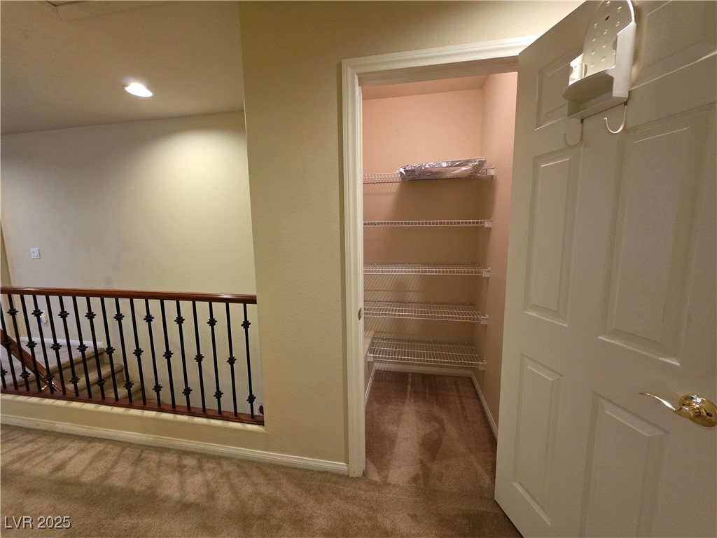 10772 Glacier Rapids Court Property Photo 20