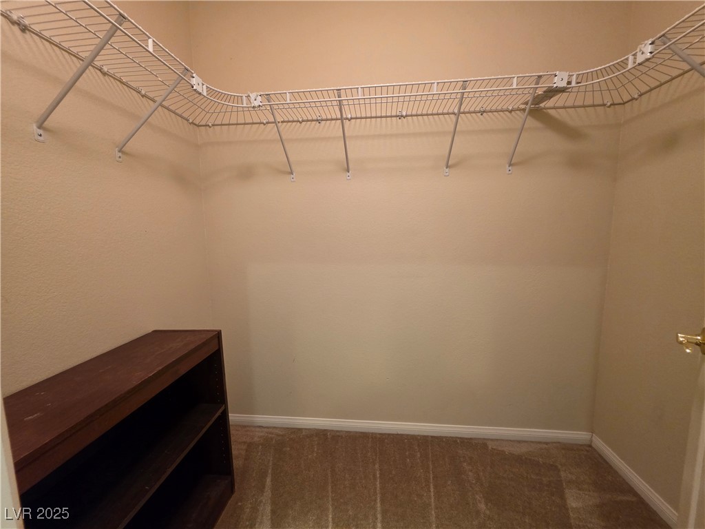 10772 Glacier Rapids Court Property Photo 22